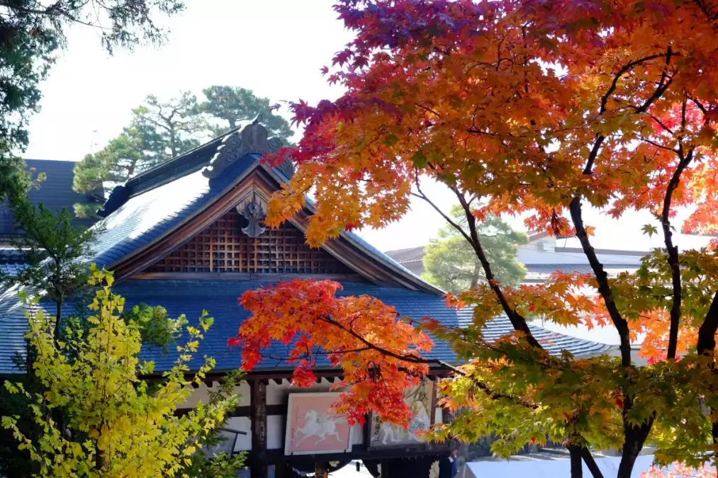 I colori dell'autunno in Giappone, viaggio di 3 settimane di con auto e  treno