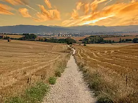 the,camino,de,santiago,during,sunrise,in,navarra,,spain