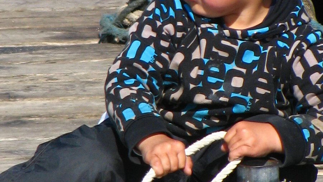 groenlandia: dove la foca è benedetta