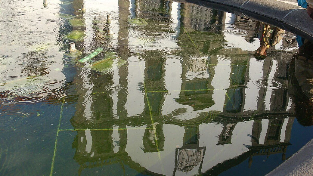 lisbona, una bella donna