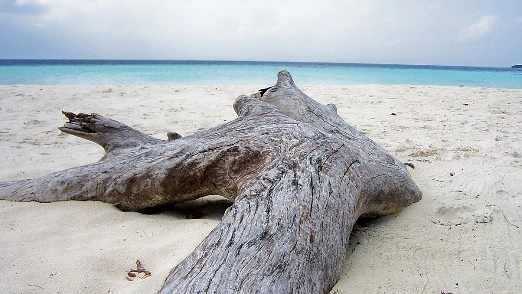 biyadhoo, il mio paradiso