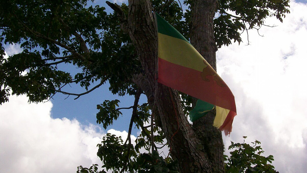 smile mon. indimenticabile jamaica