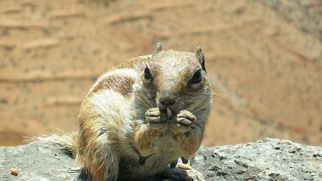 la città della movida