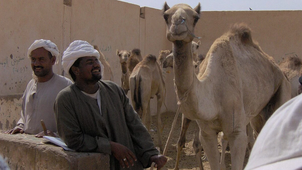 el quseir, il mar rosso ancora intatto