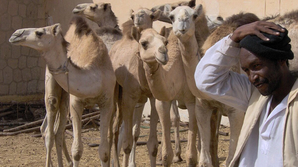 fantastica habiba beach