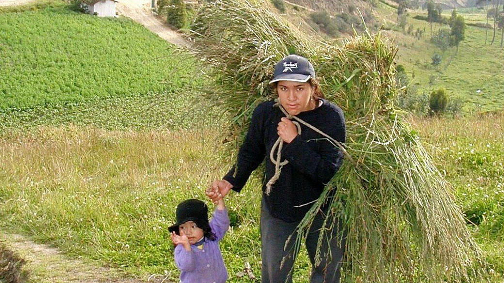 dai vulcani alla selva