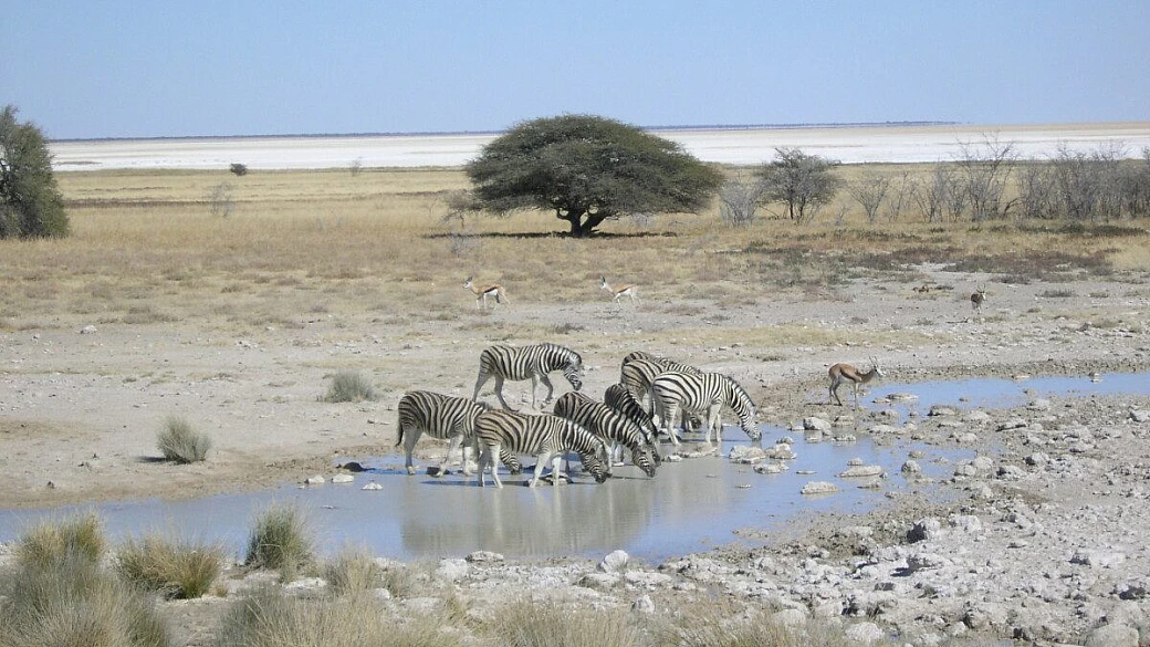 namibia, spazi vuoti e strade... 'assassine'