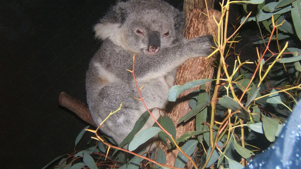 australia on the road 3