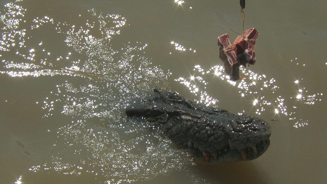 viaggio di nozze in australia 6