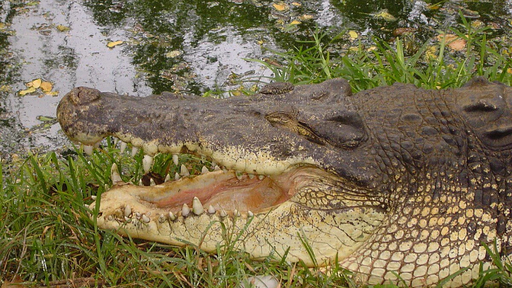 life's a journey..viaggio nell'india del nord