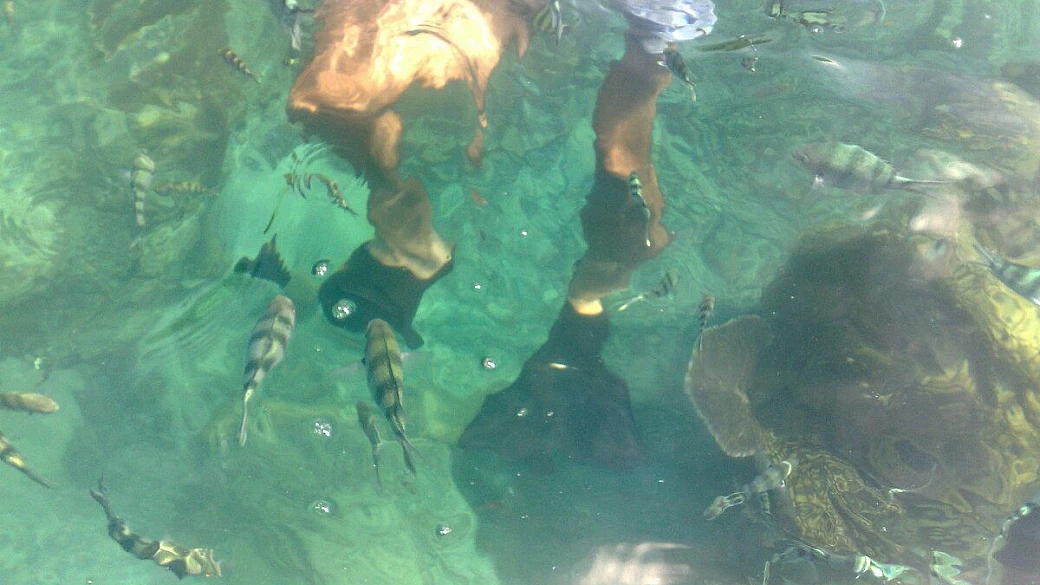 kl, taman negara, kota kinabalu: agosto 05