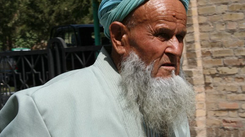 oh!oh! cavallo oh!oh!