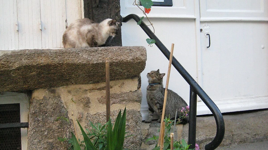 il nostro viaggio in camargue, bretagna…e non solo
