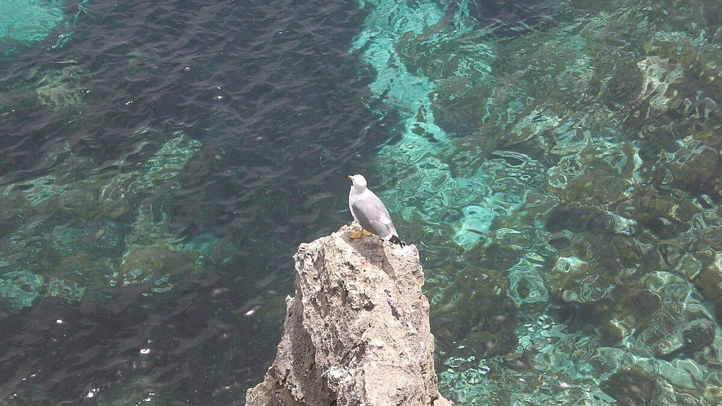 agro pontino: la terra bonificata di mussolini
