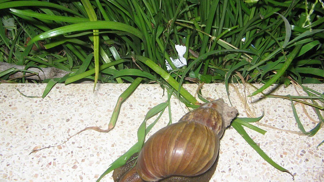 cambogia: i templi di angkor, ma non solo