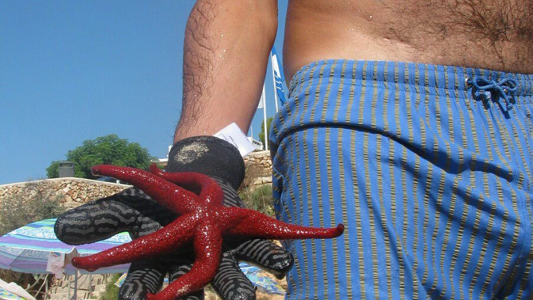 madrid, che sorpresa