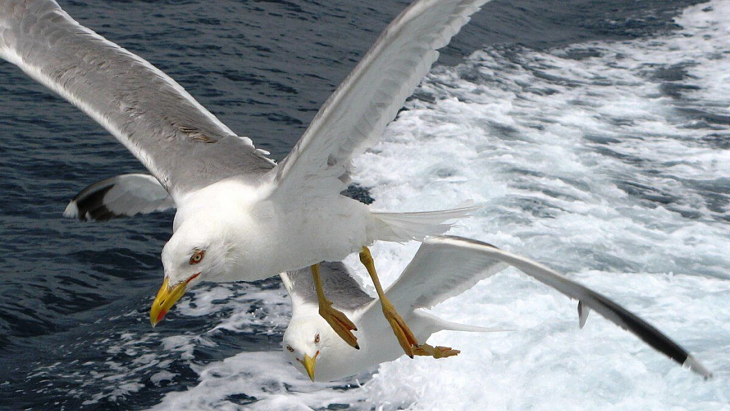 girare la sicilia con gli autobus: impossibile?