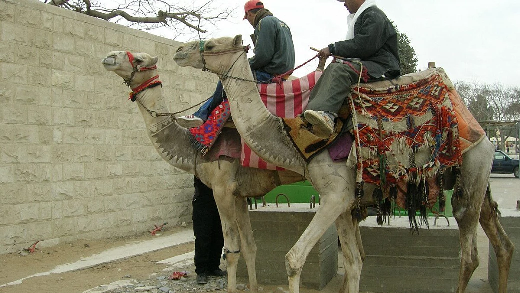 sharm el sheikh: istruzioni per l’uso