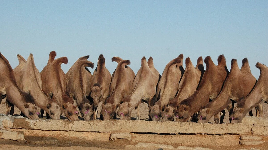 mongolia: informazioni utili