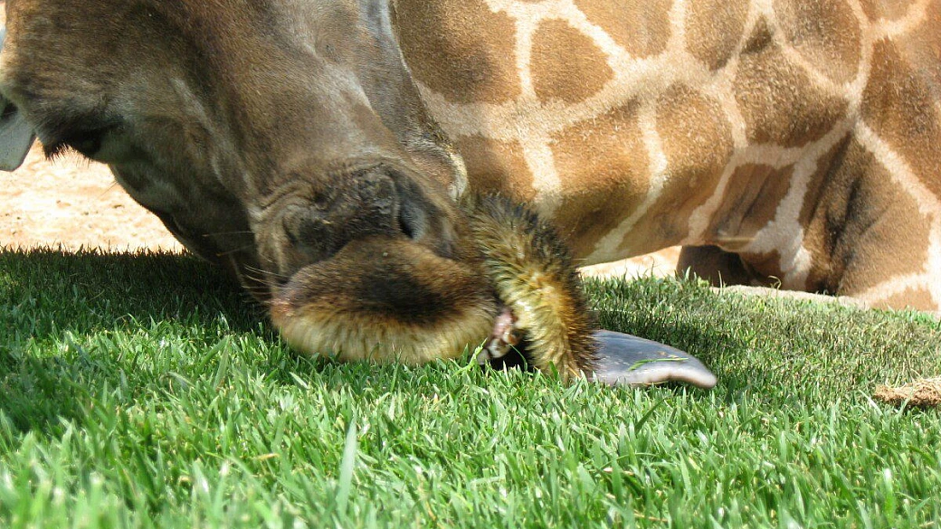 barcellona la citta' di gaudi'