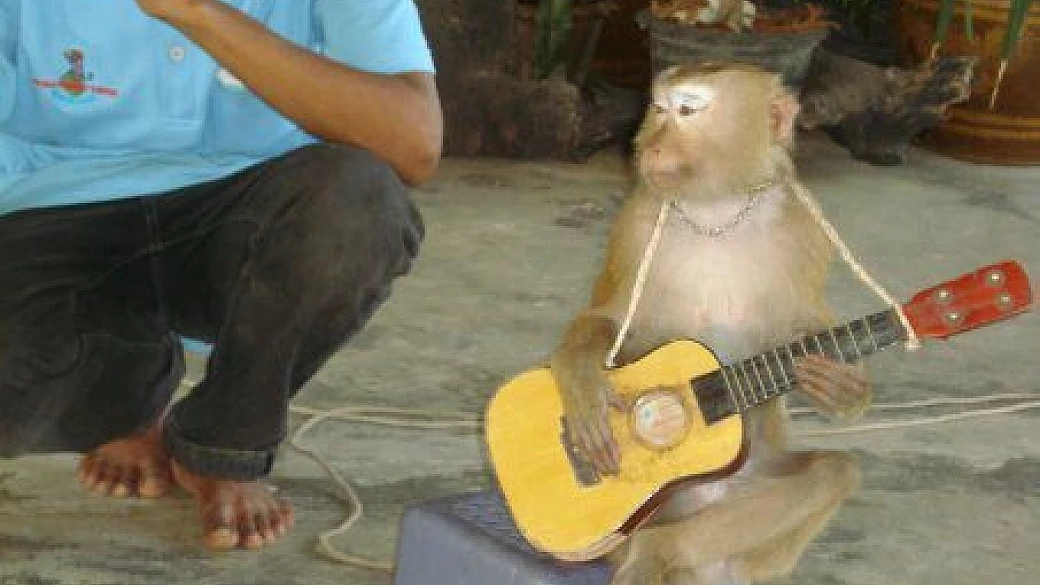 thailandia: viaggio nel sorriso