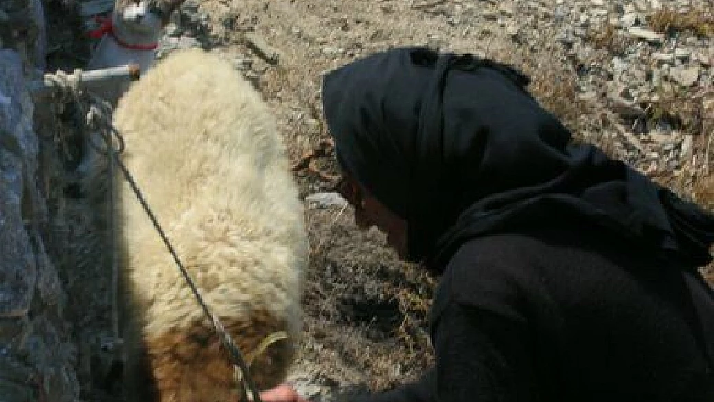 creta, un vero paradiso!