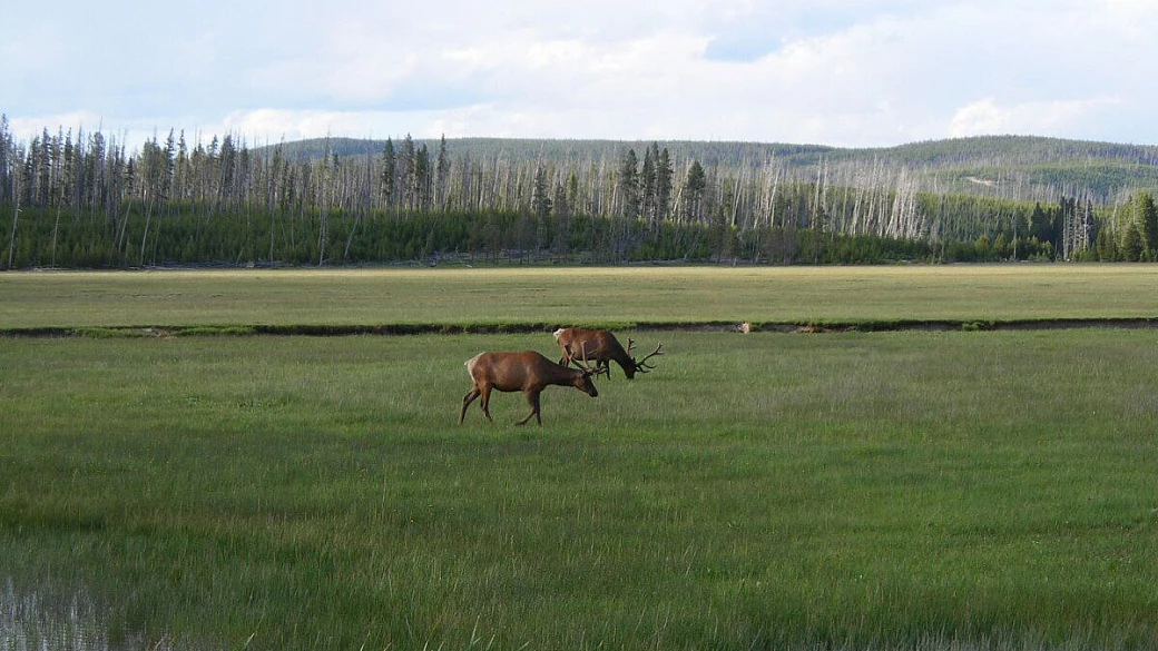 usa west costa - la terra dei colori