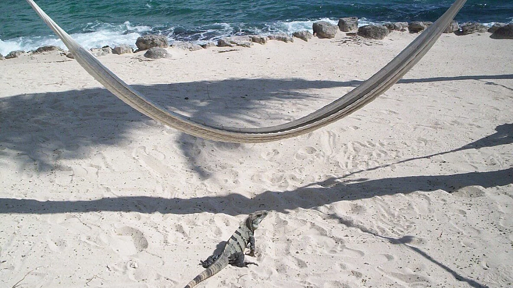 crociera sea princess da miami