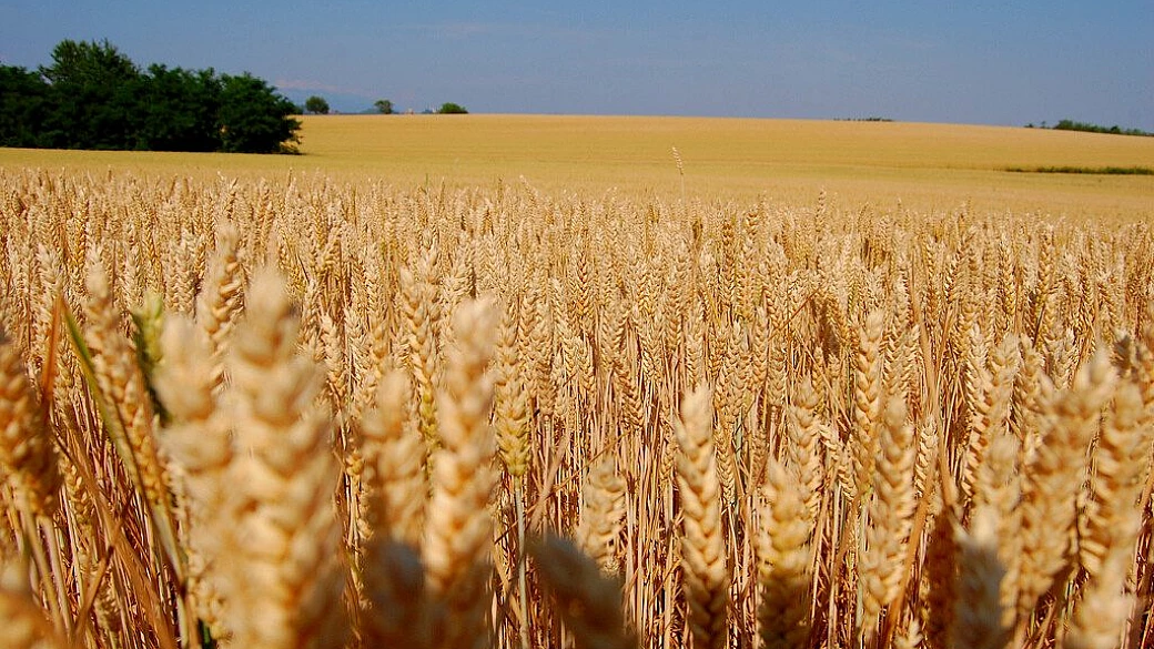 chi lo dice che 14 giorni sono troppi?