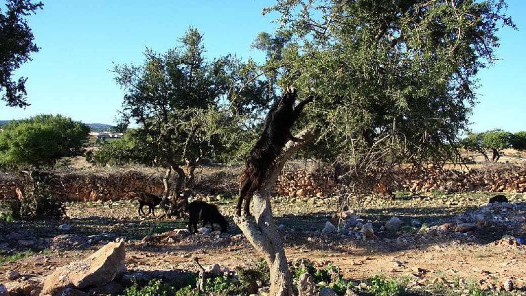 tour città imperiali: consigli per il viaggio