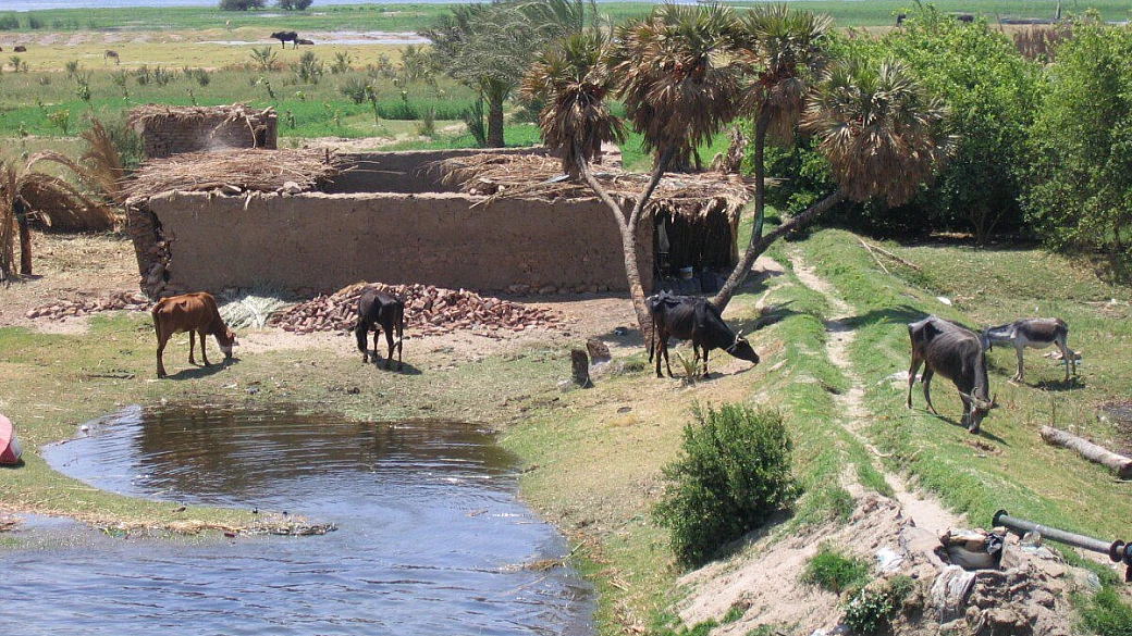 ancora a sharm!!! - maxi village sinai garden