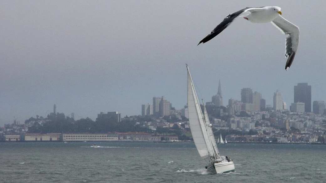 8 aerei, 4 luoghi, 2 persone: i miei stati uniti