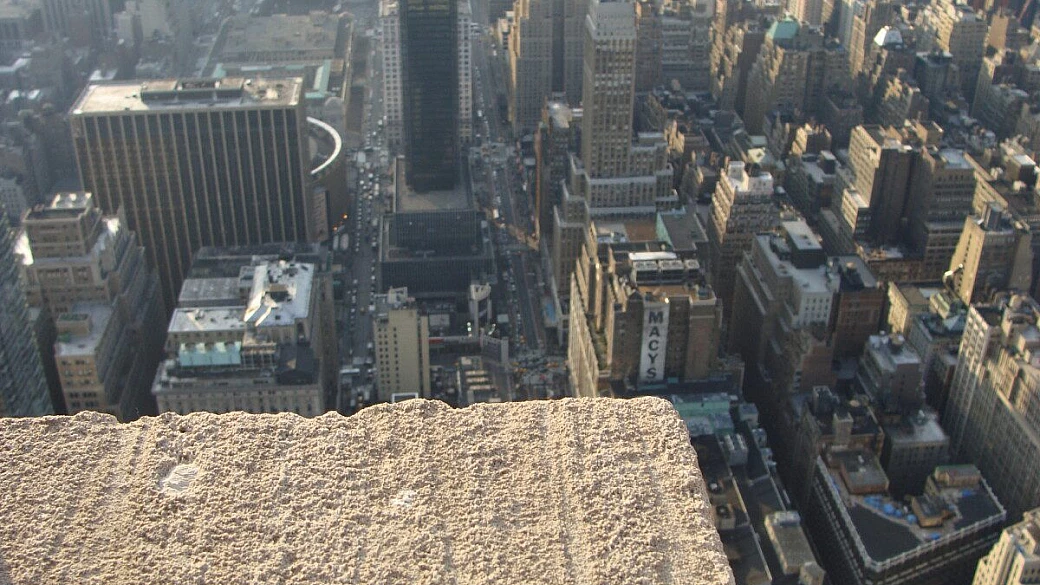 tra aragoste e grattacieli