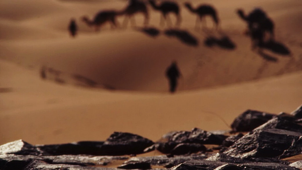 algeria - terra tuareg