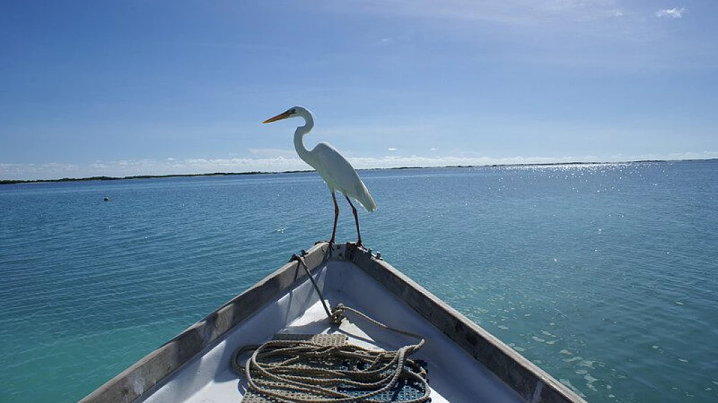 venezuela: sulle tracce di un sogno