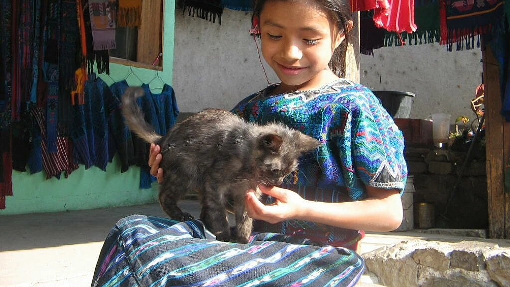 yucatan e chapas in bus