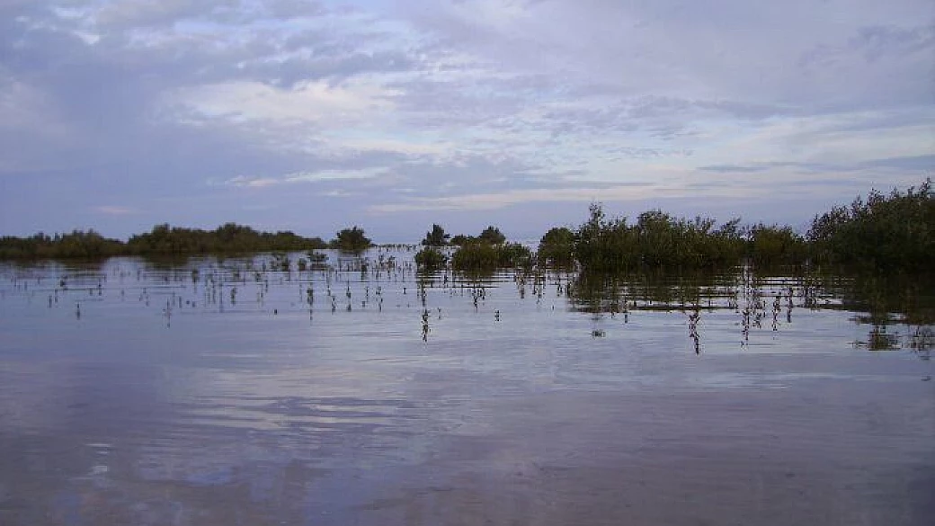 mille e una notte...in egitto!