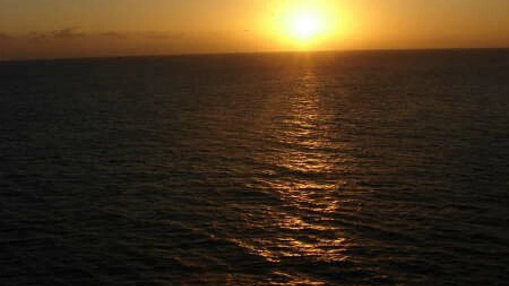 san francisco los angeles sempre nel nostro cuore