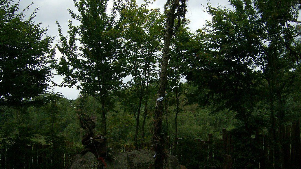 i colori della camargue e i profumi della provenza