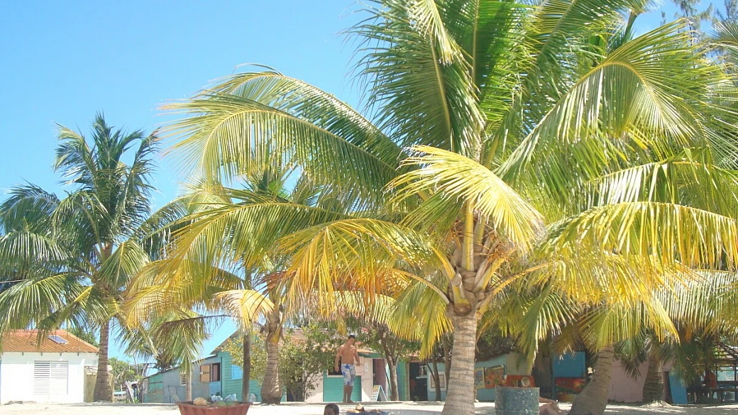 bellissimo gran bahia principe