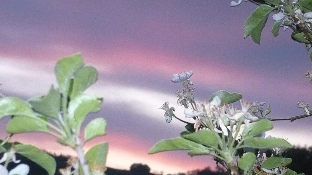 weekend alle terme sensoriali