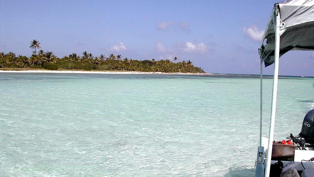 baja california tra balene spiaggie e deserto