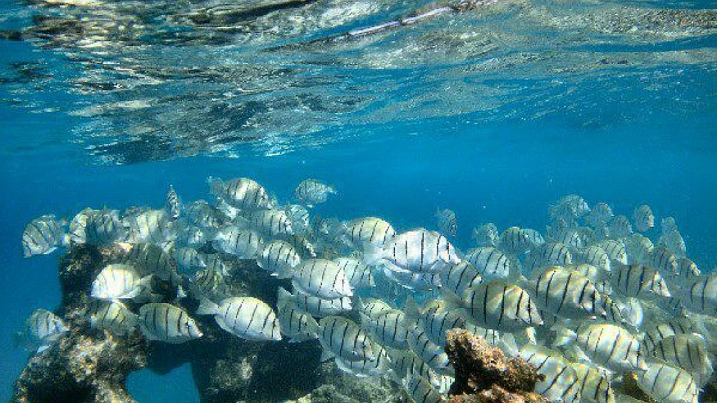 viaggio di nozze west usa e polinesia francese 2