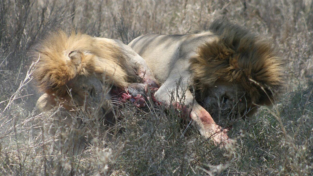 tanzania & zanzibar.. 2