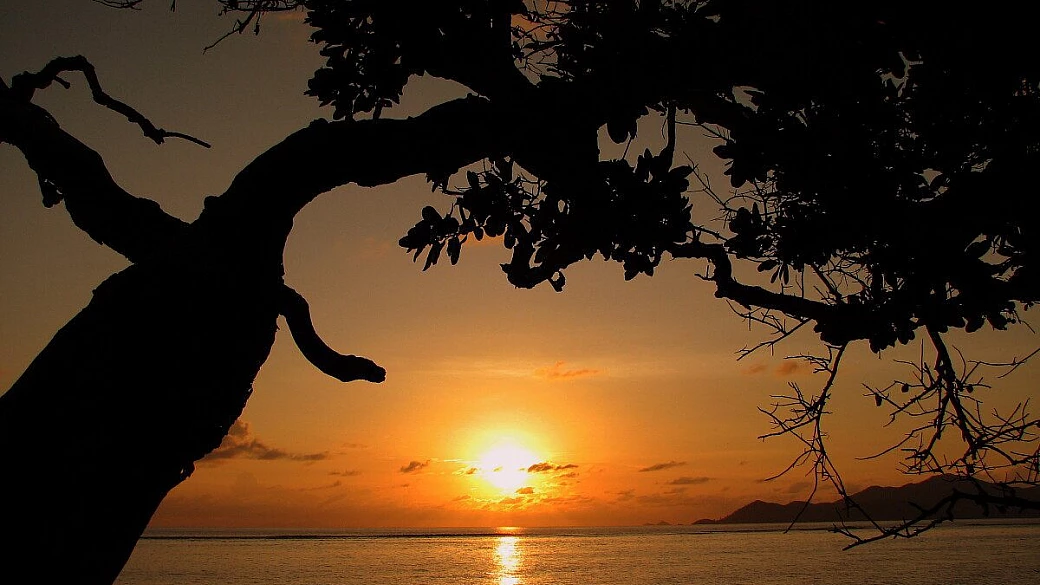 seyshelles: praslin e la digue