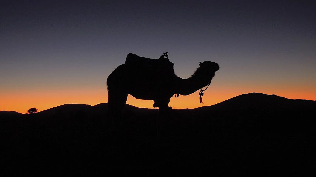 marocco del sud e deserto