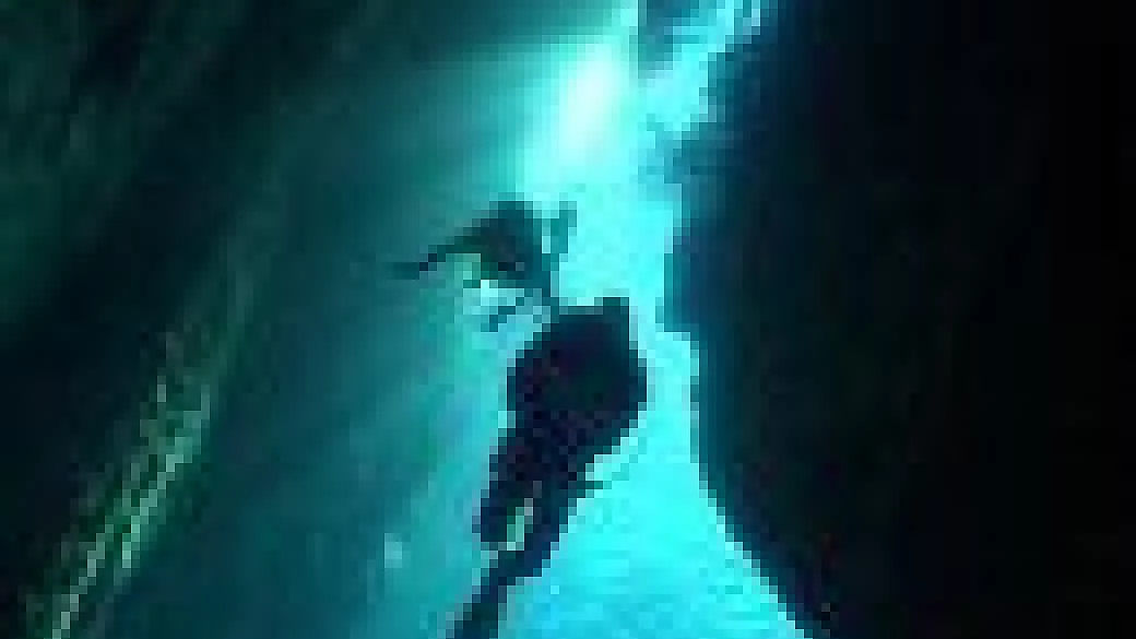 una purezza disarmante: zante