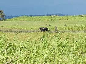 addis-abeba-region-2nees