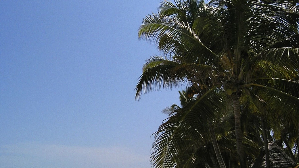 mama africa: in viaggio verso casa!