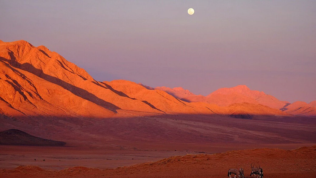 cinquanta sfumature di deserto